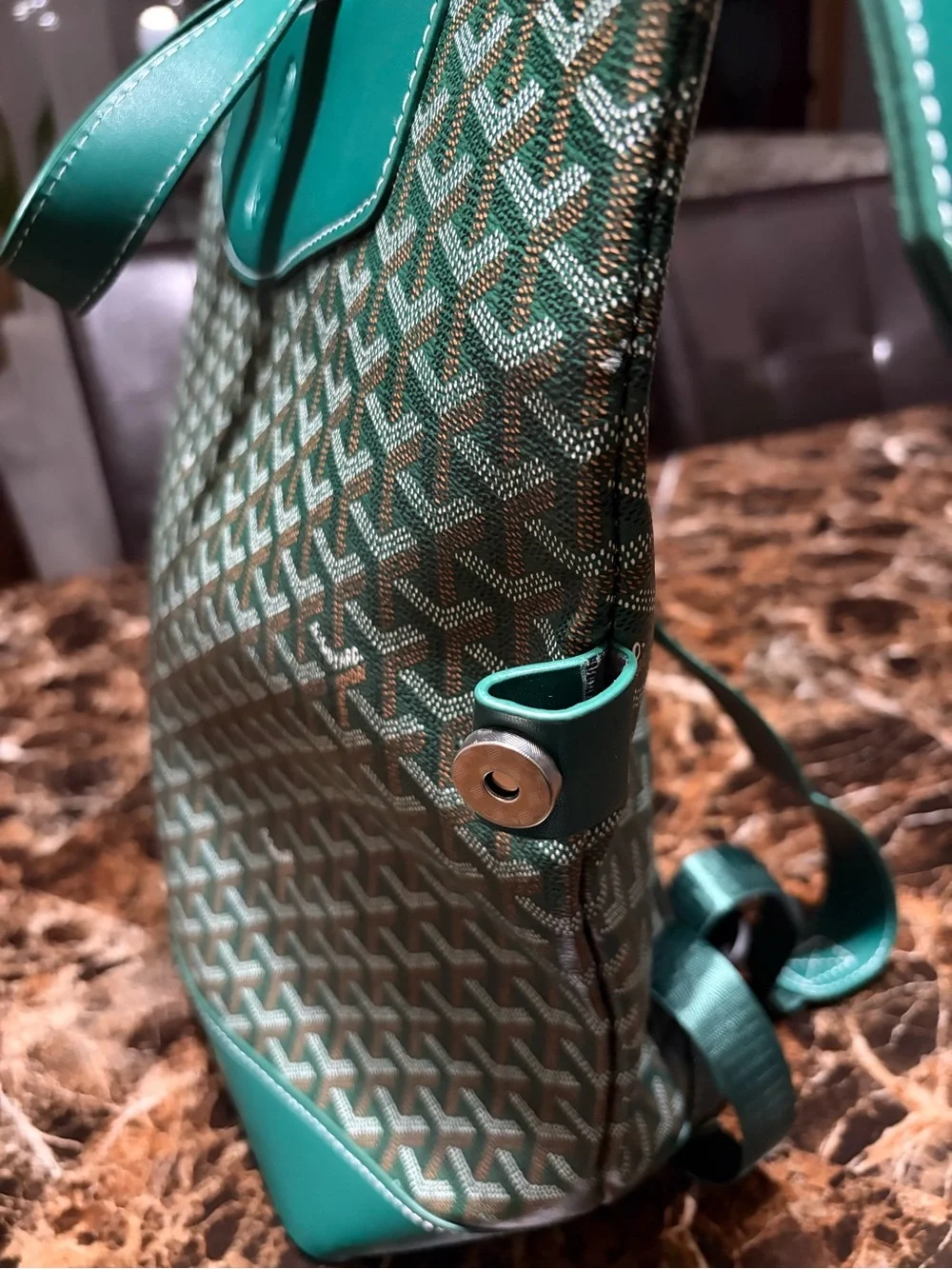 Goyard Green Leather Backpack Tote